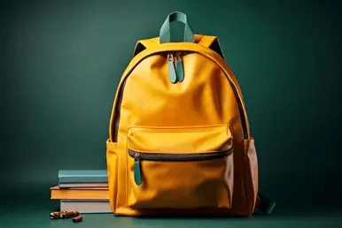 شنط لكل إطلالة